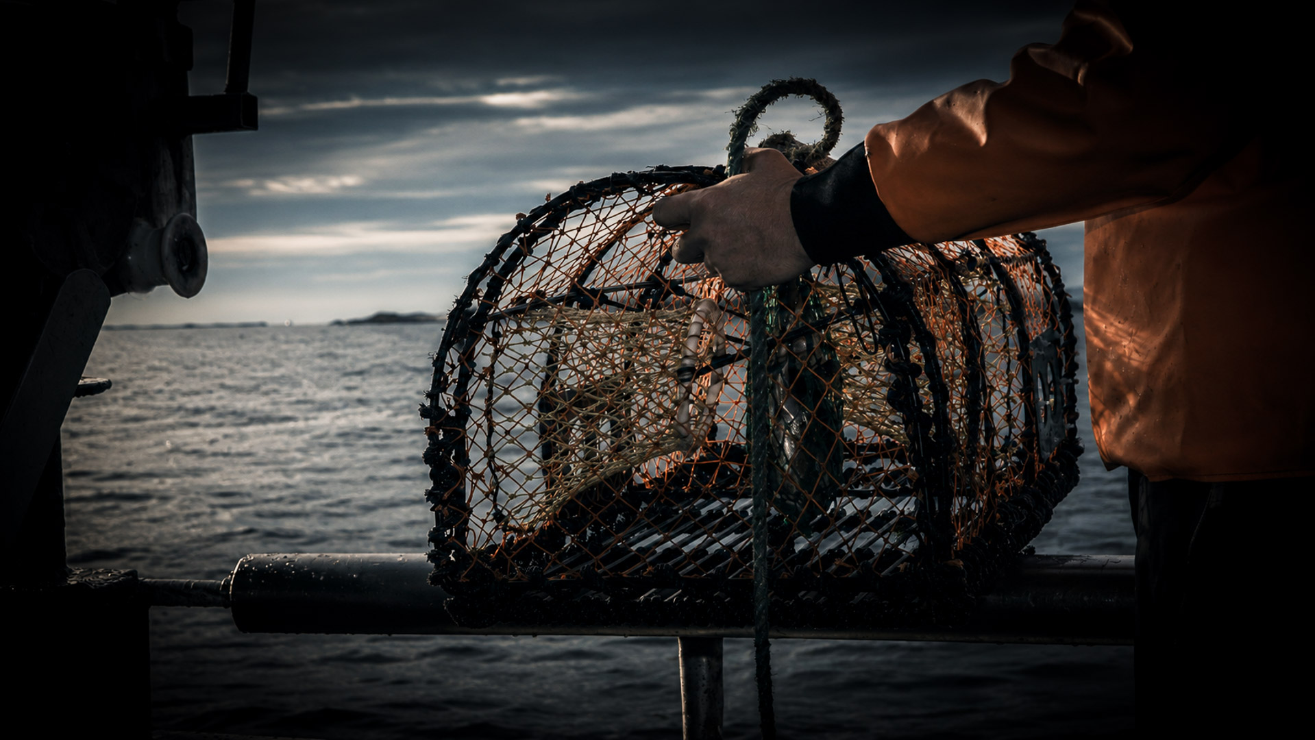 Lobster fishing Mattias Filmmaker Fiskebackskil Sweden